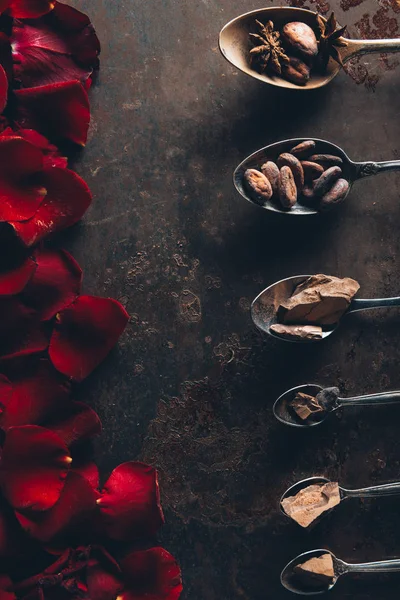 Top view of spoons with chocolate pieces, cocoa beans and star anise and red rose petals on dark surface — Stock Photo