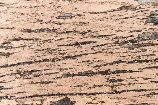 Wooden old surface with cracked paint — Stock Photo