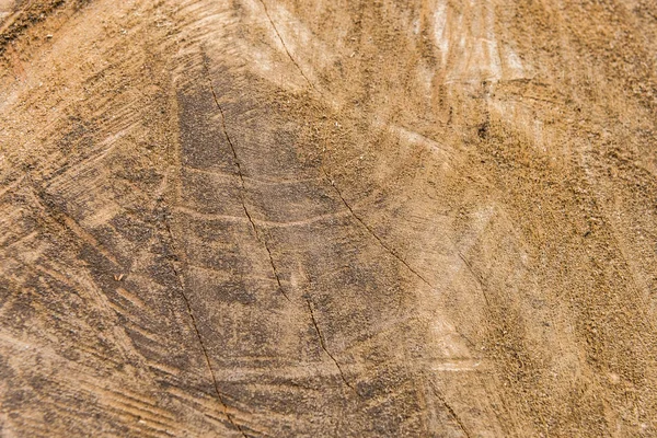 Detailliert gesägtes Holz detaillierter Hintergrund — Stockfoto