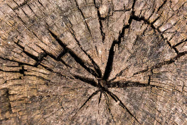 Rundum gesägtes Holz detaillierter Hintergrund — Stockfoto