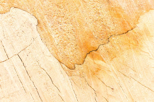 Concepto de madera dura y carpintería con superficie de madera aserrada — Stock Photo