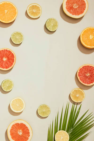Imagen de marco completo de hoja de palma, rodajas de pomelos, limas, limones y naranja sobre fondo blanco - foto de stock