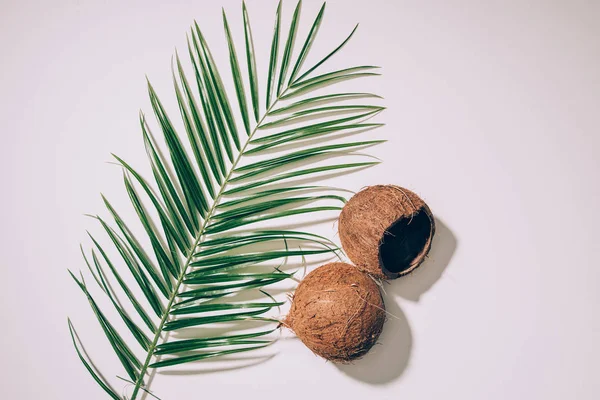 Vue de dessus des coquilles de noix de coco et des feuilles de palmier vert sur blanc — Photo de stock
