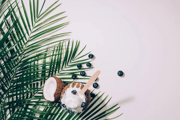 Top view of delicious coconut ice cream with blueberries and green palm leaves on white — Stock Photo