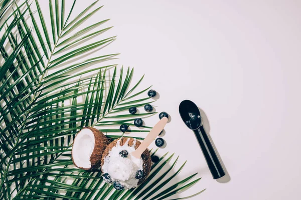 Вид зверху на гастрономічне кокосове морозиво з чорницею та зеленим пальмовим листям на білому — стокове фото