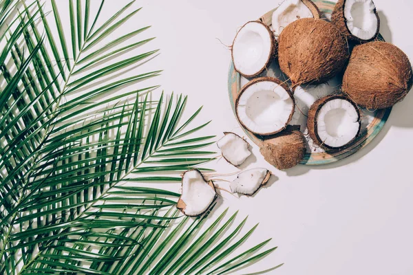 Vista superior de cocos orgánicos gourmet y hojas de palma verde sobre blanco - foto de stock