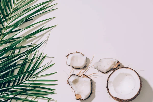 Шматочки органічного здорового кокосового і зеленого листя пальми на білому — стокове фото