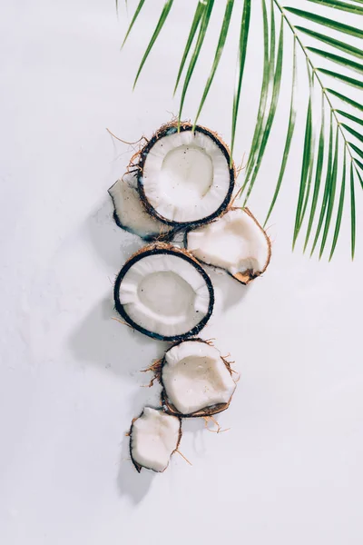 Vista superior de trozos de coco sano natural y hojas de palma verde sobre blanco - foto de stock