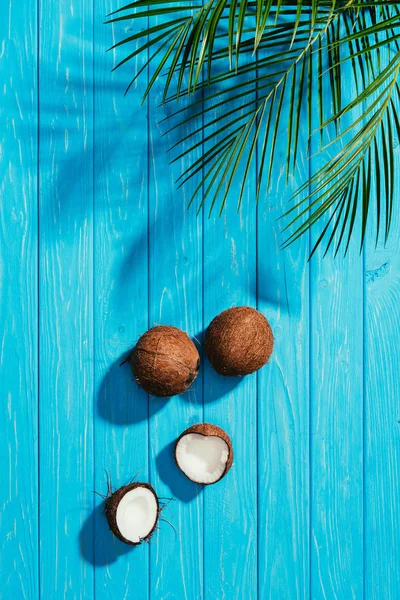 Vue de dessus des noix de coco entières et fissurées et des feuilles de palmier vert sur une surface en bois bleu — Photo de stock