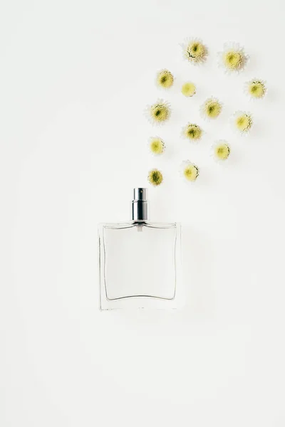 Vista superior de la botella de perfume rociando margaritas aisladas en blanco - foto de stock