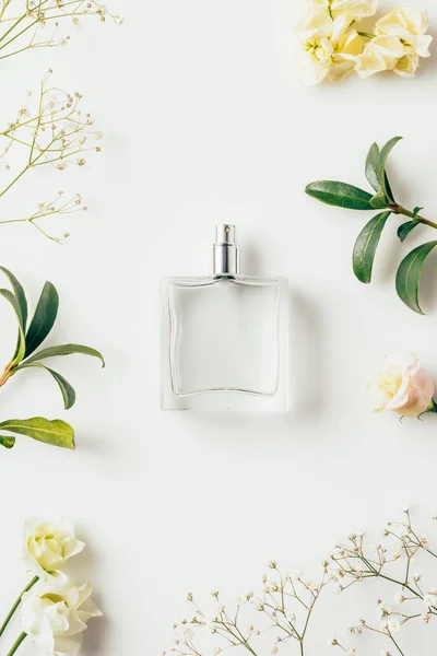 Vista superior de la botella de perfume rodeado de flores y ramas verdes en blanco - foto de stock