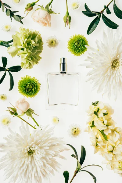 Top view of glass bottle of perfume surrounded with flowers and green branches isolated on white — Stock Photo