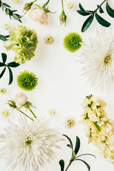 Draufsicht auf verschiedene grüne und weiße Blumen auf weißem Grund — Stockfoto