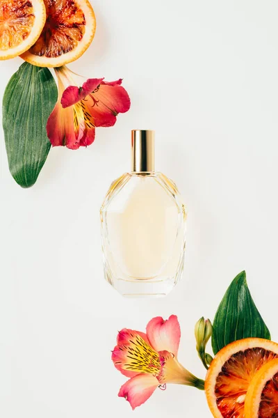 Vista superior de garrafa de perfume aromático com flores e fatias de toranja isoladas em branco — Fotografia de Stock