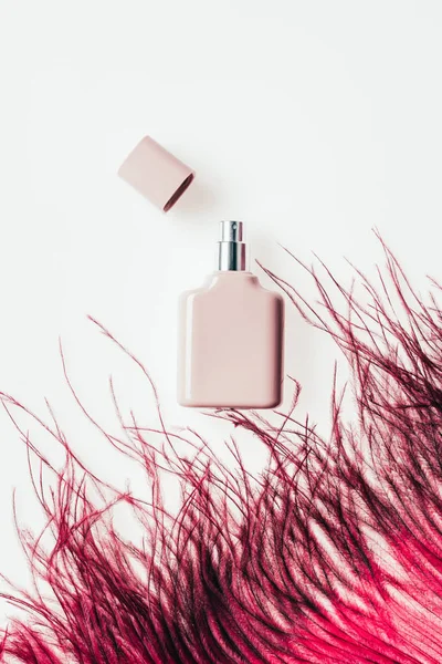 Vue du dessus du flacon de parfum avec plume rouge sur blanc — Photo de stock