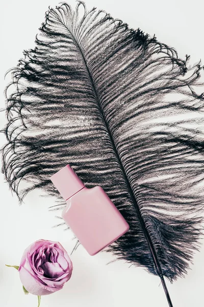 Top view of bottle of perfume with black feather and pink rose on white — Stock Photo