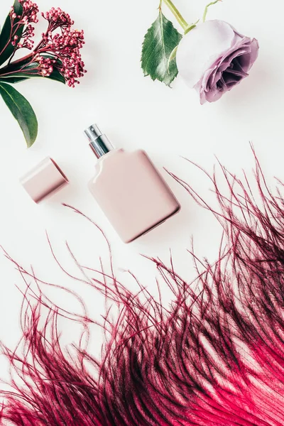 Vista dall'alto di bottiglia di profumo con piuma rossa e fiori su bianco — Foto stock