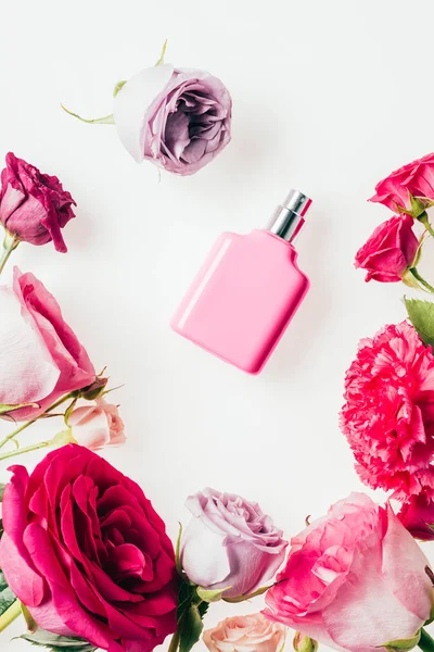 Вид зверху на рожеву пляшку парфумів в оточенні троянд на білому — стокове фото