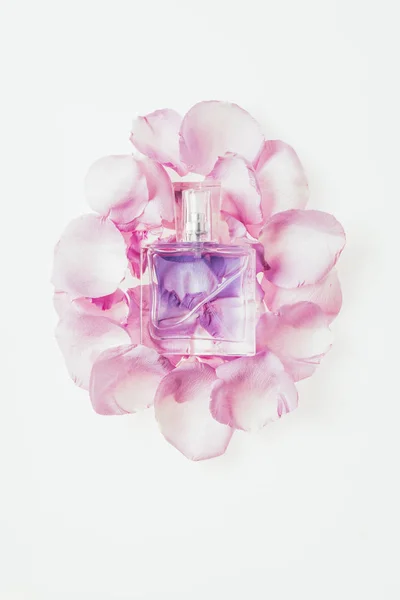 Top view of bottle of perfume on pile of pink petals isolated on white — Stock Photo