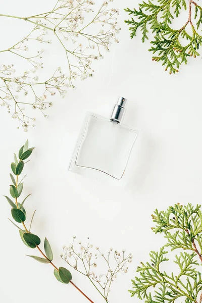 Vue du dessus du flacon de parfum avec des branches vertes et des fleurs sur blanc — Photo de stock