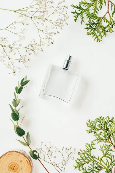 Vista superior de garrafa de perfume com ramos verdes e madeira cortada em branco — Fotografia de Stock