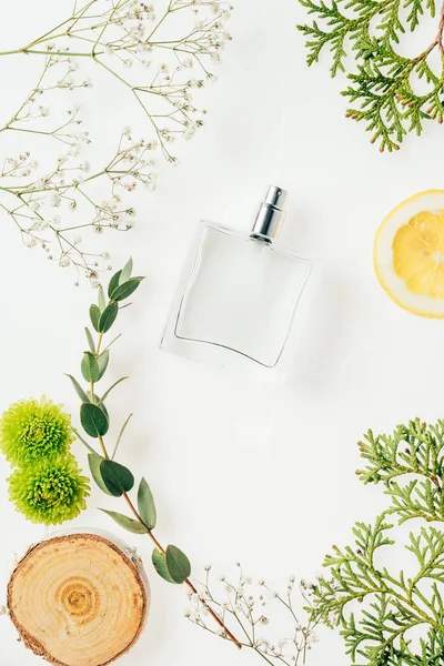 Vista superior da garrafa de perfume fresco com composição floral em torno de branco — Fotografia de Stock