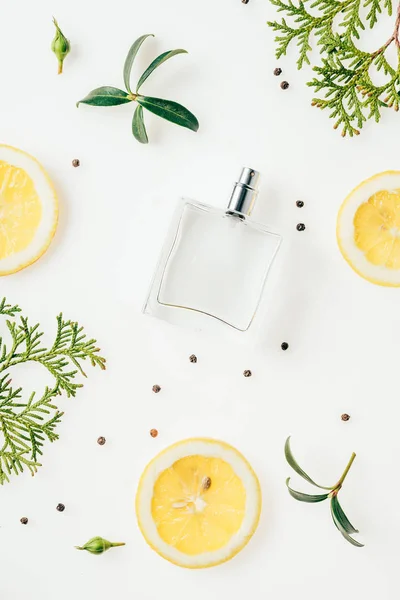 Top view of bottle of perfume with green branches and lemon slices on white — Stock Photo