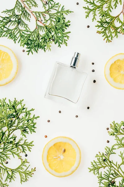 Top view of bottle of fresh perfume with green branches and lemon slices on white surface — Stock Photo