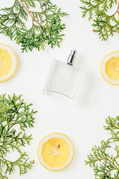 Vue du dessus du flacon de parfum en verre avec des branches vertes et des tranches de citron sur le dessus de table blanc — Photo de stock