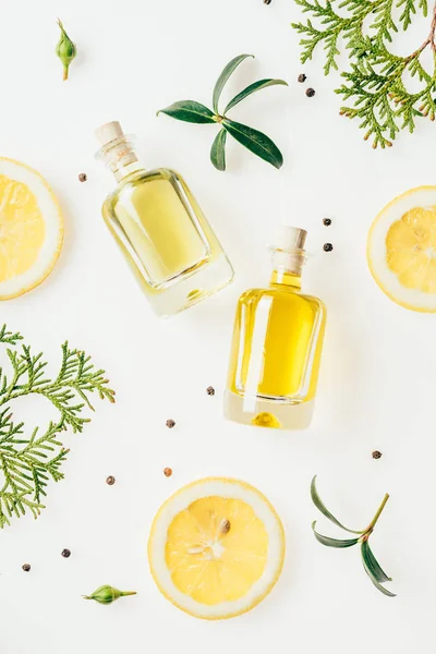 Top view of bottles of fresh perfume with green branches and lemon slices on white — Stock Photo