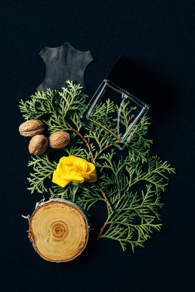 Vista superior de garrafa de perfume em ramos coníferas em preto — Fotografia de Stock
