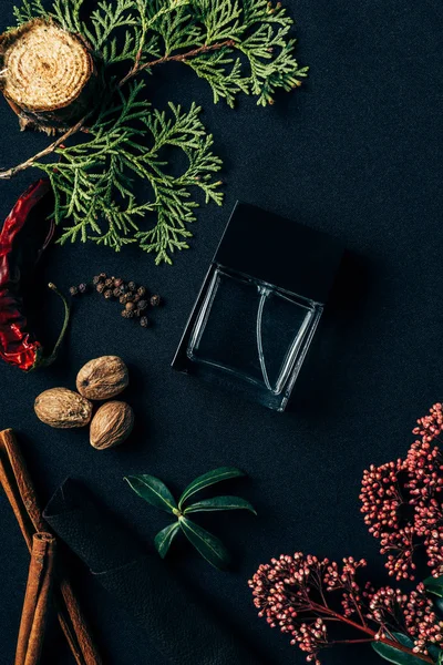 Vista superior de garrafa de perfume com especiarias aromáticas e ramo de abeto em preto — Fotografia de Stock