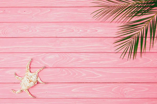 Vista superior de concha con hojas de palma sobre superficie de madera rosa - foto de stock