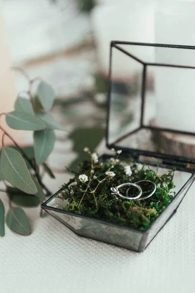 Close up view of wedding rings in rustic box with plants inside — Stock Photo