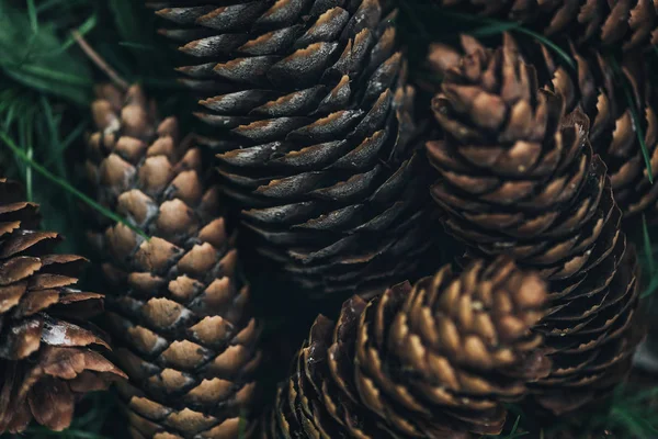 Full frame image of pine cones background — Stock Photo