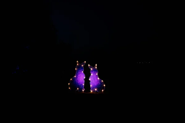 莫斯科 俄罗斯 07年10月8日以兔子星座为形式的婚礼照明 — 图库照片