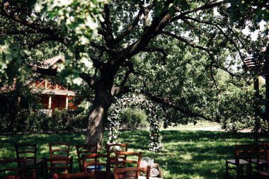 Zaporozhye / Ukrayna - 07 / 07 / 2018 - Düğün süslemeleri. Güzel bir çiçek kemeri, yayılan eski bir meşenin altında.