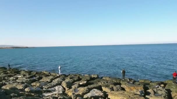 Time-lapse van grote groep mensen die vissen in de kust — Stockvideo