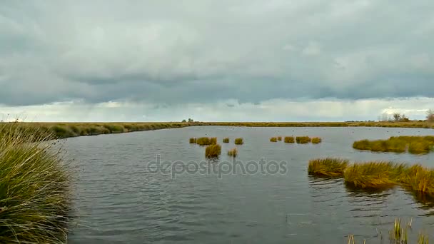 Kizilirmak Delta och fågelreservat våtmarker Samsun, Turkiet — Stockvideo