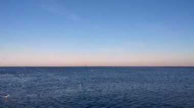 Karadeniz, Türkiye'de uçan 4 k martılar 