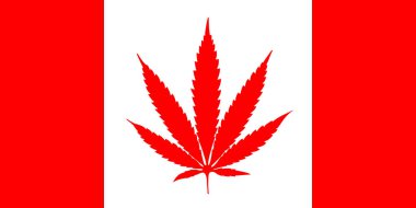 Kanada bayrağı kırmızı beyaz esrar yaprak akçaağaç yaprağı yer. Marihuana yasallaştırma vektör çizim