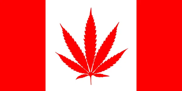 Kanada bayrağı kırmızı beyaz esrar yaprak akçaağaç yaprağı yer. Marihuana yasallaştırma vektör çizim