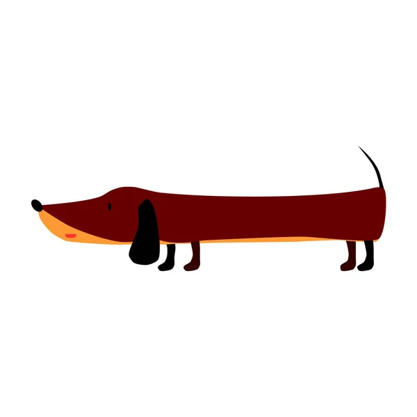 ダックスフント犬かわいいベクトル図 — ストックベクタ