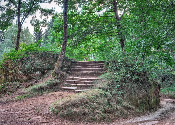 Παλιά πέτρινη σκάλα στο πάρκο — Φωτογραφία Αρχείου