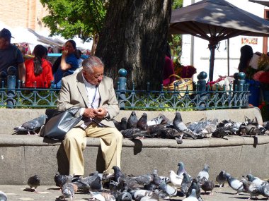 Cuenca, Ekvador - 26 Aralık 2019: Yaşlı adam Cuenca 'daki çiçek pazarının meydanında güvercinleri besliyor