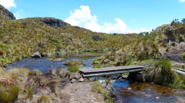 Toreadora Gölü Vadisi 'nin üzerinde bir köprü var. And Dağları. Cajas Ulusal Parkı. Toreadora Gölü dinlenme alanı. Paramo ekosistem. Ekvador, Güney Amerika