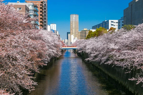 Meguro Canel — Foto de Stock