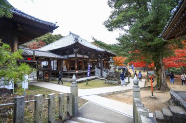 Nagoya, Japan - Sep 19, 2019 : Jakko-in Temple is a famous place to visit in autumn season to see colorful leaf.