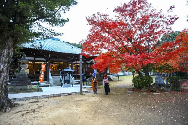 Nagoya Japan Sep 2019 Jakko Temple Famous Place Visit Autumn — Stock Photo, Image