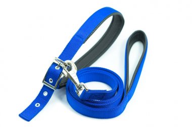 Köpek ya da kedi için tasma ile yaka hakkında evde beslenen hayvan temini 